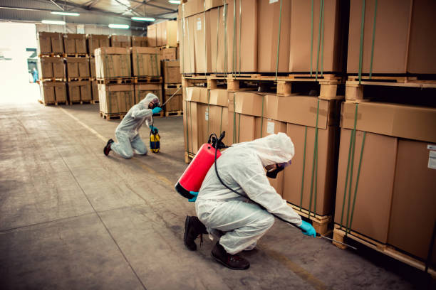Best Best Pest Control Companies  in Navarre, OH