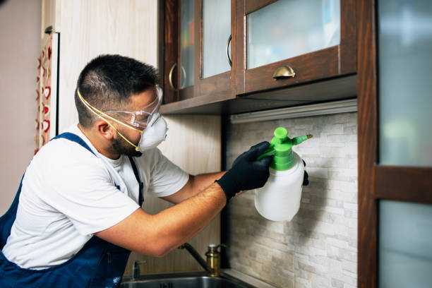 Best Emergency Pest Control  in Navarre, OH