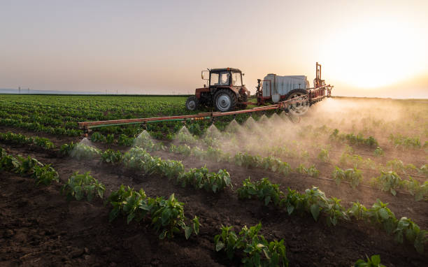 Best Mosquito Control Services  in Navarre, OH
