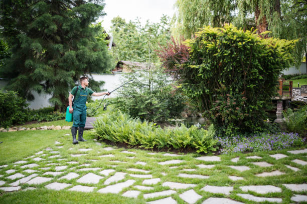 Best Ant Control Services  in Navarre, OH