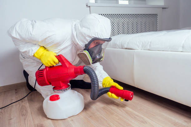 Best Flea Control Services  in Navarre, OH