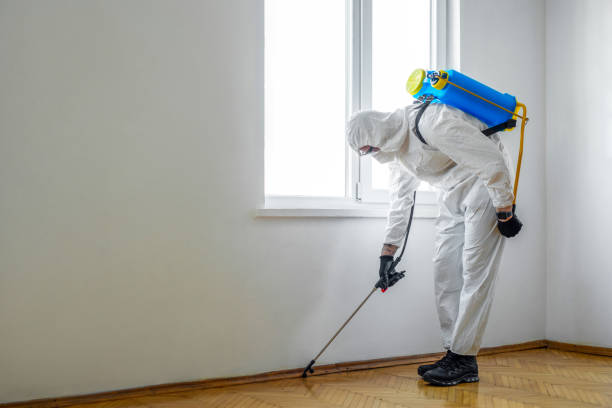 Trusted Navarre, OH Pest Control Experts