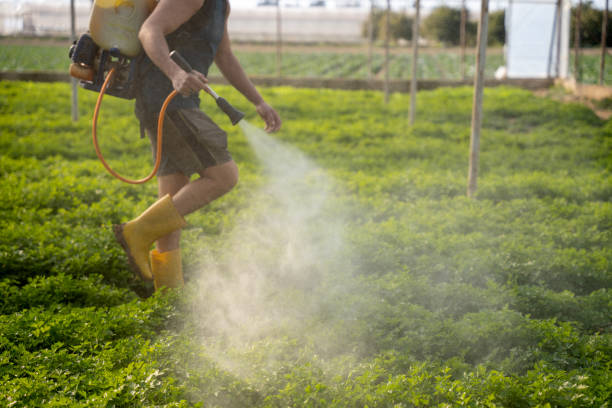 Pest Prevention Services in Navarre, OH