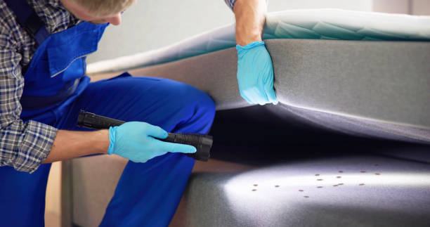 Best Pest Control Near Me  in Navarre, OH